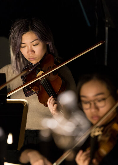 Violin players in an orchestra pit focused on their music as they perform.