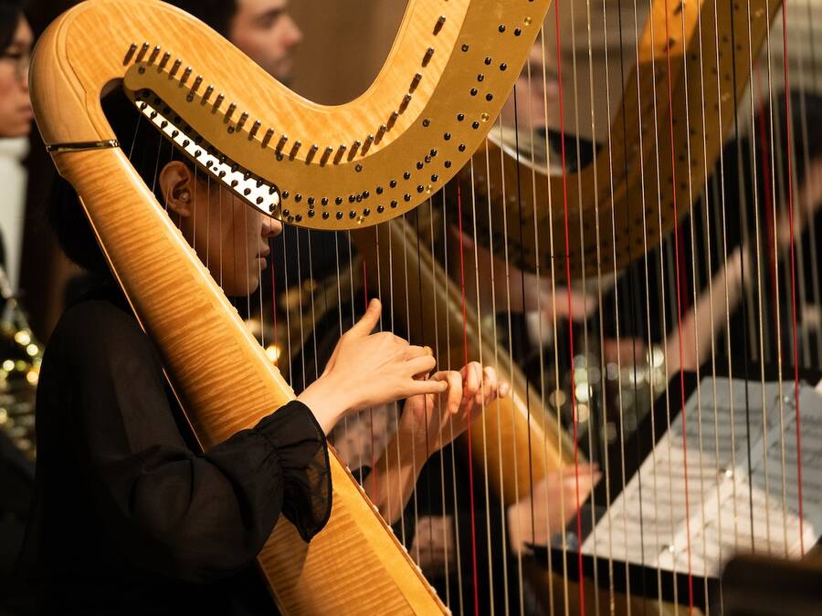 Close-up view of a person playing the harp solo in an ensemble, with their hands gracefully plucking the strings, capturing the intricate details of the harp’s structure and strings.